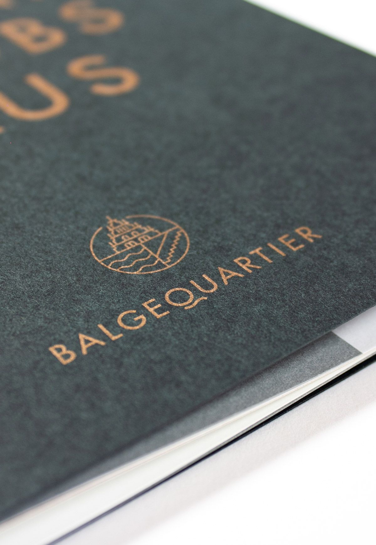 Balgequartier - Broschüre Closeup Logo